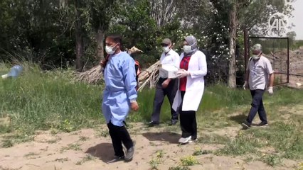 Hastaneye gitme fırsatı bulamayan Erzincanlı çiftçi aile çapa yaptıkları tarlada aşılandı