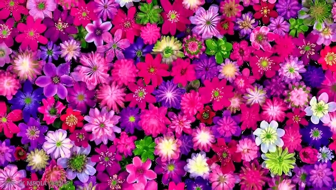 Colorful Stunning HD Video 4k Music Mix & Amazing Beautiful Nature Scenery The World We Live In V03