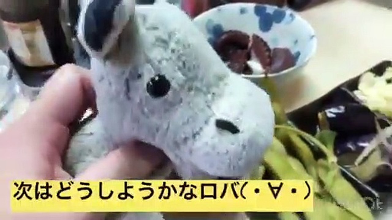 【明石・呑べえ】漁師町の立ち飲みではしゃぎまくりだぜロバ(・∀・)