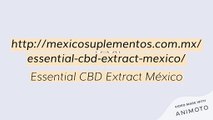 Essential CBD Extract Precio México Comprar, Opiniones & Funciona