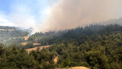 Son dakika haberi | Adana'da orman yangını
