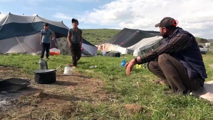 Muş’ta çadırlar kuruldu yaylalar şenlendi