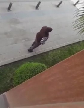 Son dakika haberleri! KÜÇÜKÇEKMECE'DE BANKAYA GİDERKEN KENDİSİNİ TAKİP ETTİĞİNİ ÖNE SÜRDÜĞÜ KİŞİYİ SİLAHLA VURDU