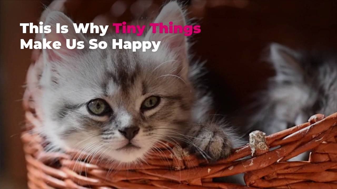 This Is Why Tiny Things Make Us So Happy