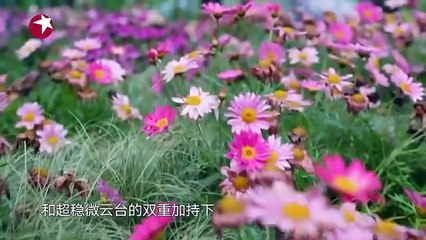 yt1s.com - 第8期邓伦单肩扛景甜男友力爆棚 黄明昊模仿杨超越名场面 张萌霸气放话岳云鹏极限挑战7GoFighting S7 EP8 20210523东方卫视2