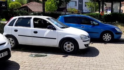 Dakikalarla yarıştılar, camı kırıp kilitli araçta kilitli kalan köpeği kurtardılar