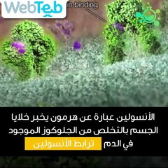 معلومات عن مرض السكري وأنواعه