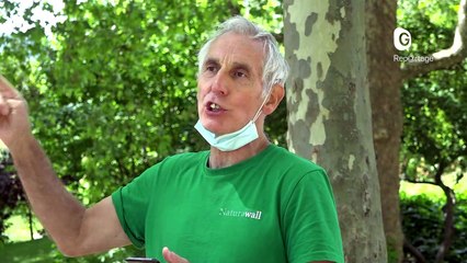 Reportage - Naturawall, un mur anti-bruit qui sépare l'autoroute et le parc Ampère Vallier