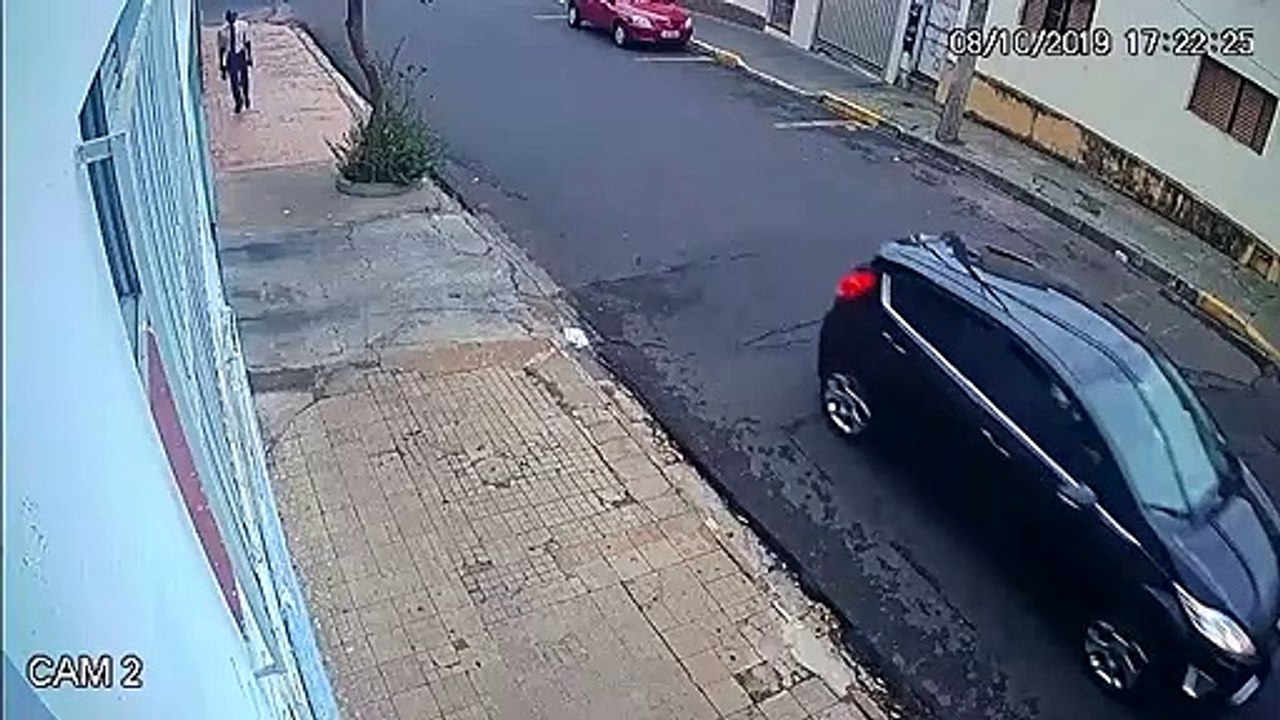 Taunted Dog Takes Book