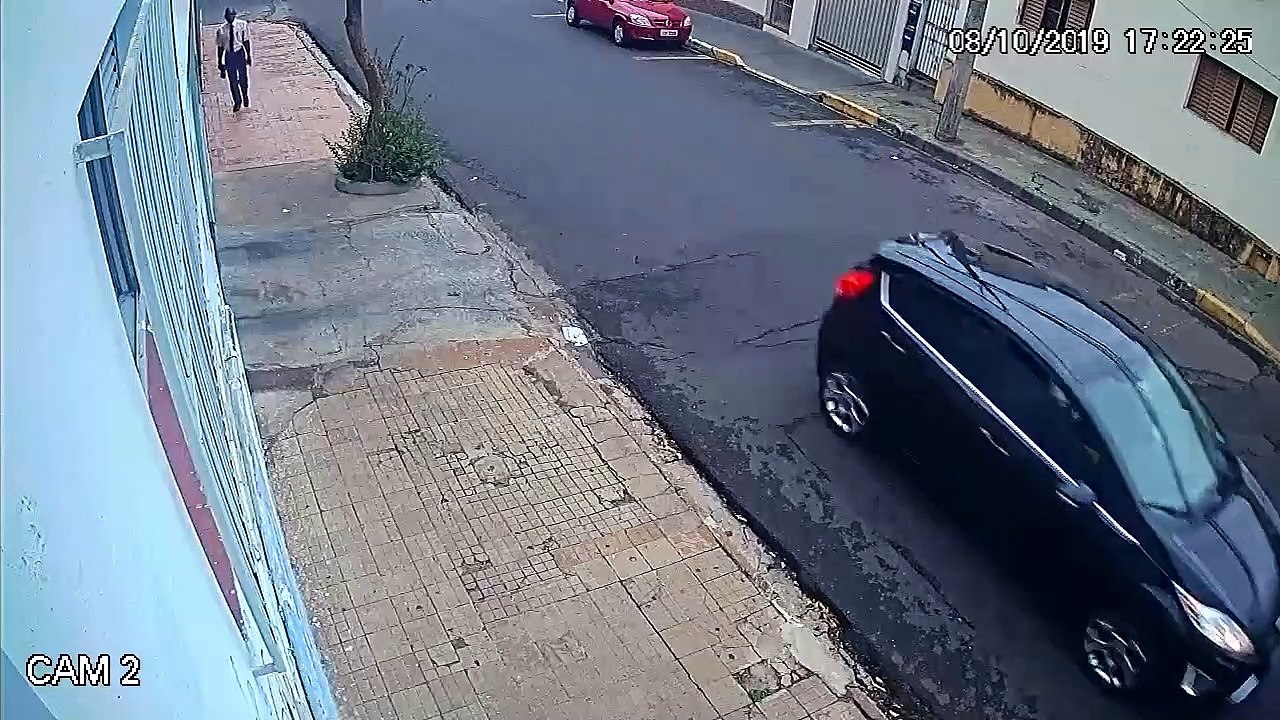 Taunted Dog Takes Book