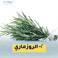 7 أطعمة وأعشاب مفيدة لصحتك