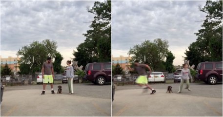 Donos correm em direções opostas para ver atrás de quem corre o seu cão