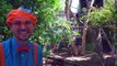 Blippi visita un zoológico (Phoenix Zoo) | Compilación | Videos de animales para niños part 1