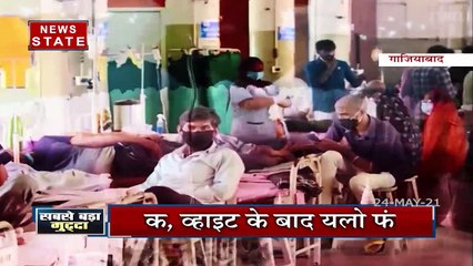 सबसे बड़ा मुद्दा : क्या है फंगस का 'कलर कांड'