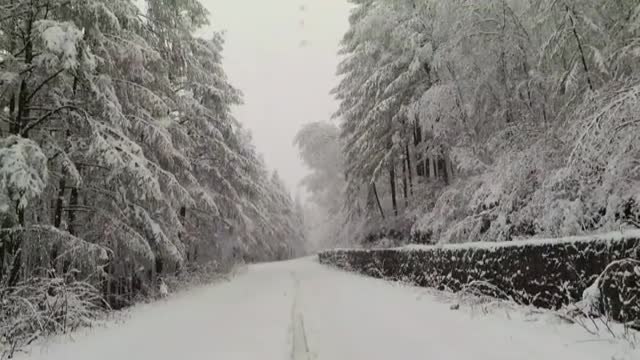 Una gran nevada sorprende a los vecinos de Mongolia Interior con 20 centímetros de nieve