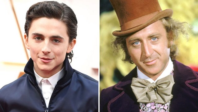 Timothee Chalamet to Play Young Willy Wonka in Warner Bros. Film | THR News