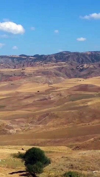 DAĞ MANZARASI