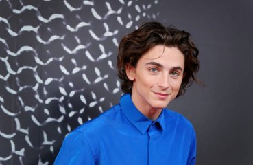 Timothée Chalamet to Star as Young Willy Wonka in Upcoming Warner Bros. Film