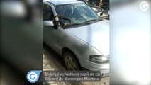 Cobra é achada no capô de carro no Centro de Domingos Martins