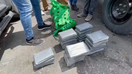 Decomisan cocaína en buque de carga en Haina; tenía como destino Puerto Rico