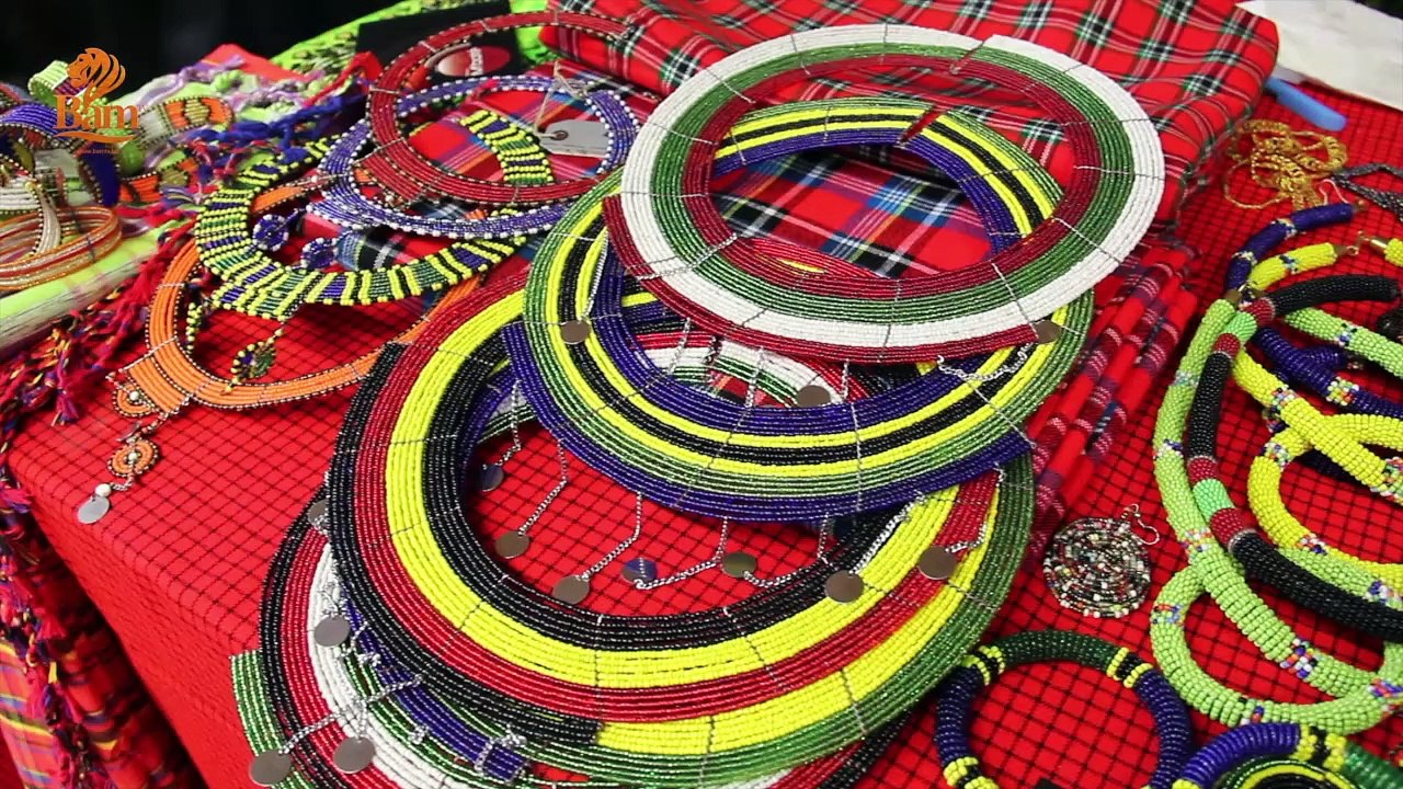 LES JOURNEES DE L_AFRIQUE 2016 5e édition à Brux
