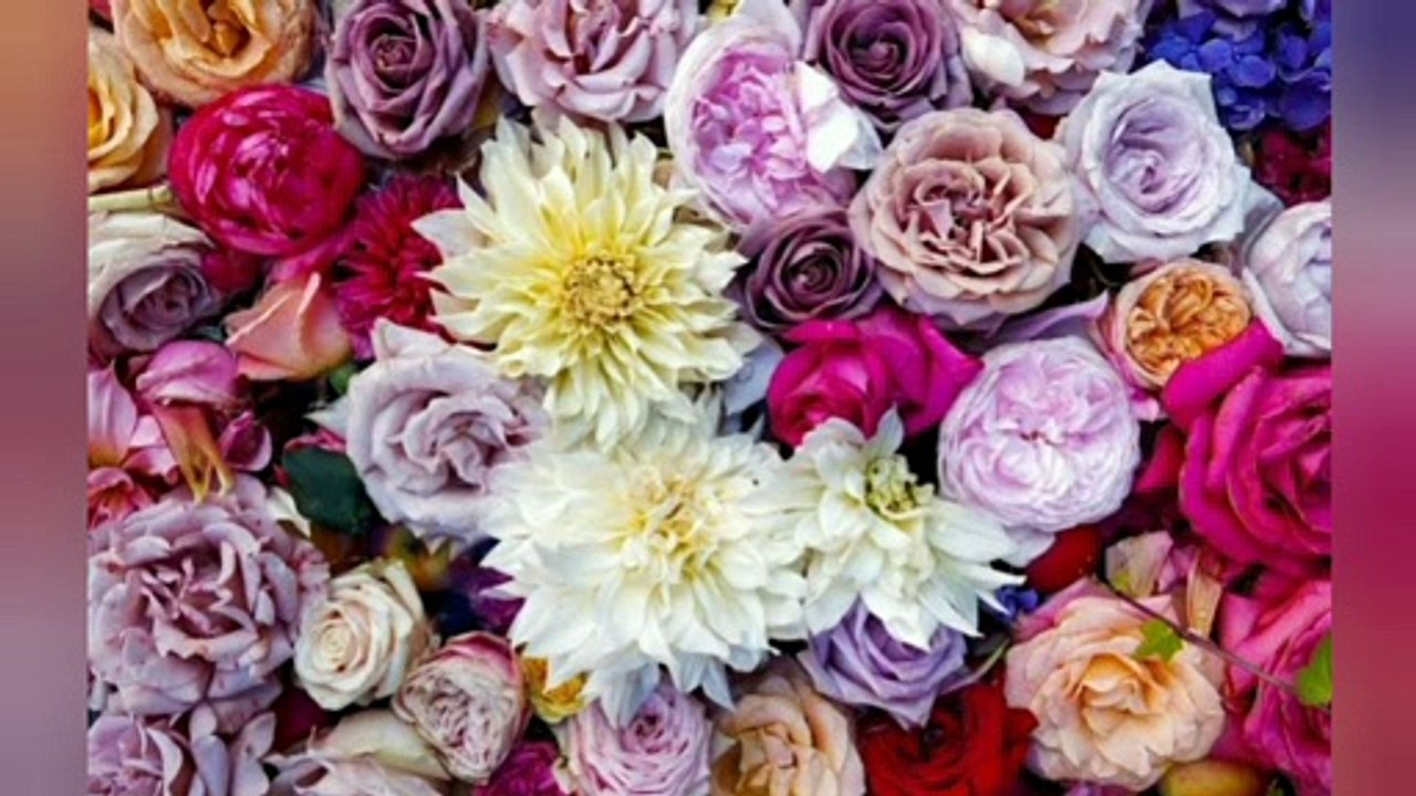 ROSE GARDEN FLOWERS