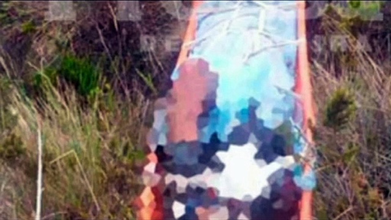 PRESUNTO NARCO ES UNO DE LOS FACELLIDOS EN EL SINIESTRO DE UNA AVIONETA EN EL ESTASO TACHIRA