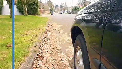 Tips To Select The Right Tires For Your Car - Todd Kassal