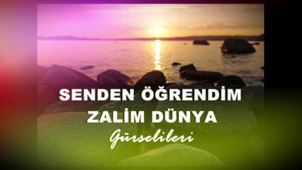 Gürsel İleri - Senden Öğrendim Zalim Dünya