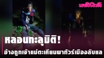 หลอนทะลุมิติ! อ้างถูกเจ้าแม่ตะเคียนพาทัวร์เมืองลับแล | Dailynews