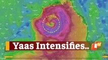 #CycloneYaas To Intensify Into Very Severe Cyclonic Storm By Evening Of May 25