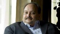 Antigua launches search op for Mehul Choksi; PM Modi-led panel shortlists 3 names for next CBI chief; more