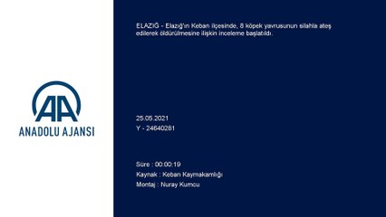 ELAZIĞ - Keban'da 8 köpek yavrusunun öldürülmesine ilişkin inceleme başlatıldı