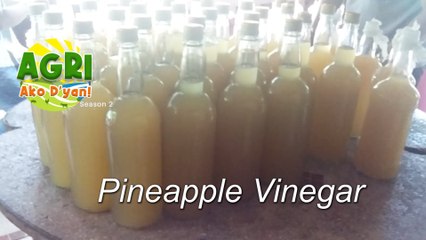 “PINEAPPLE VINEGAR” Ep.46 AGRI Ako D’yan