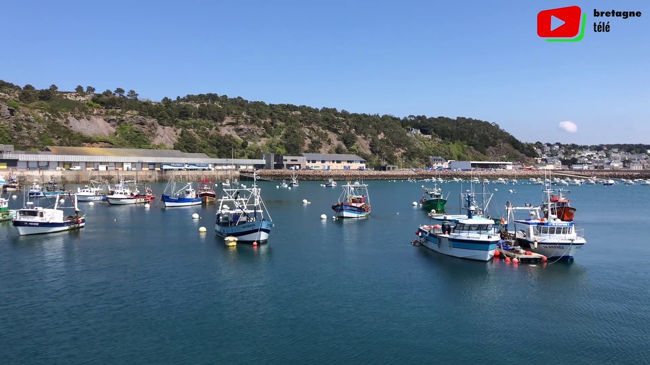 Côtes d'Armor: La magie du port d'Erquy - Paris  Bretagne Télé