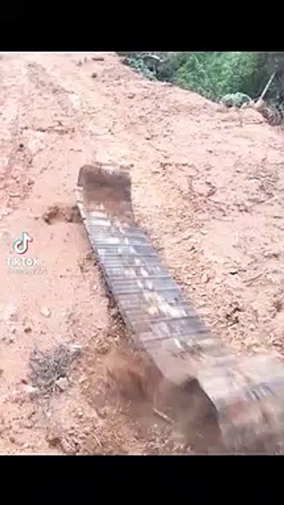 Funny video clip tiktok 1