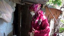 Sultangazi'de tavuk hırsızları bir gecede onlarca kümesi boşalttı