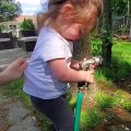 Toddler Hilariously Tries To Catch Water From Garden Hose