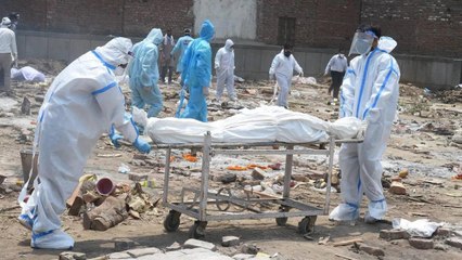 Karnataka: 529 dies of corona in the last 24 hours