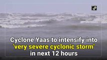 Cyclone Yaas to intensify into 'very severe cyclonic storm' in next 12 hours: IMD