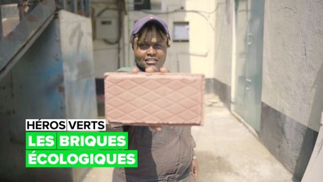 Héros verts: les briques écologiques