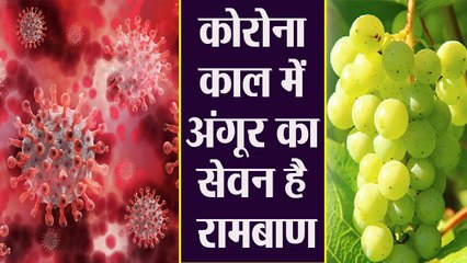 Corona काल में Grapes का सेवन करना हो सकता है लाभकारी, छुपे हैं गजब के फायदे । Boldsky
