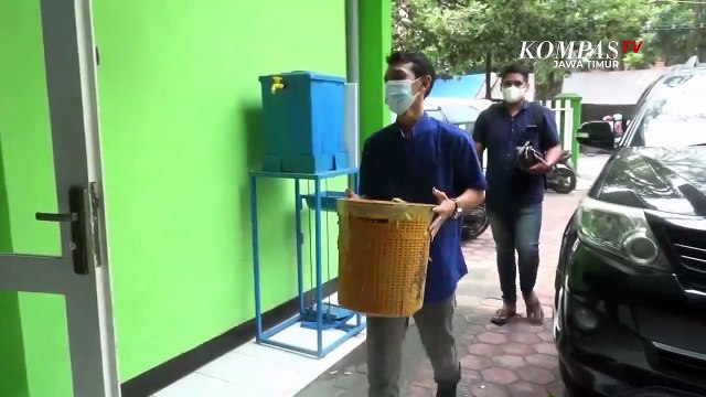 Kucing Hutan Kelaparan Nyaris Serang Warga