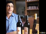Giuseppe Pedrotti spiega il Vino Santo Trentino - ItaliaSquisita.mov