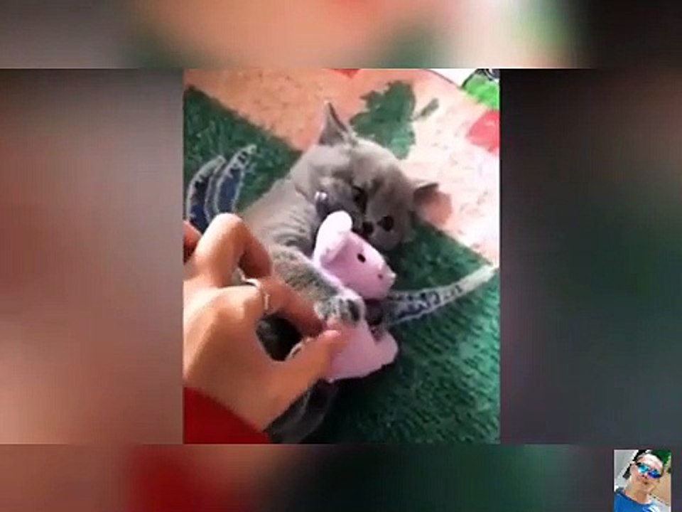 Funny video