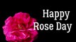 Rose Day Wishes Messages for Sister (Happy Rose Day!)