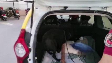 Uyuşturucu ele geçirilen hafif ticari araçtaki 2 zanlı gözaltına alındı