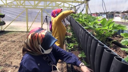 DÜZCE - Fedakar öğretmenler 'özel öğrenciler' için toprağa dokundu
