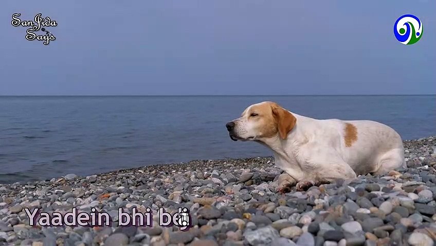 Hindi Poetry | New Emotional Hindi Poetry | Sad Poetry