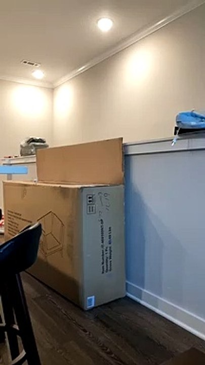 Kitty Finally Meets a Box She Can’t Handle